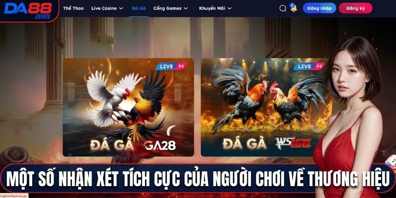 Một số nhận xét tích cực của người chơi về thương hiệu 