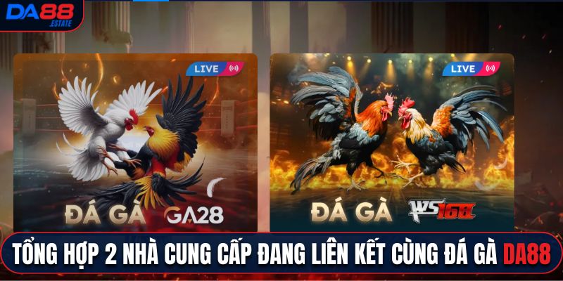 Tổng hợp 2 nhà cung cấp đang liên kết cùng đá gà Da88